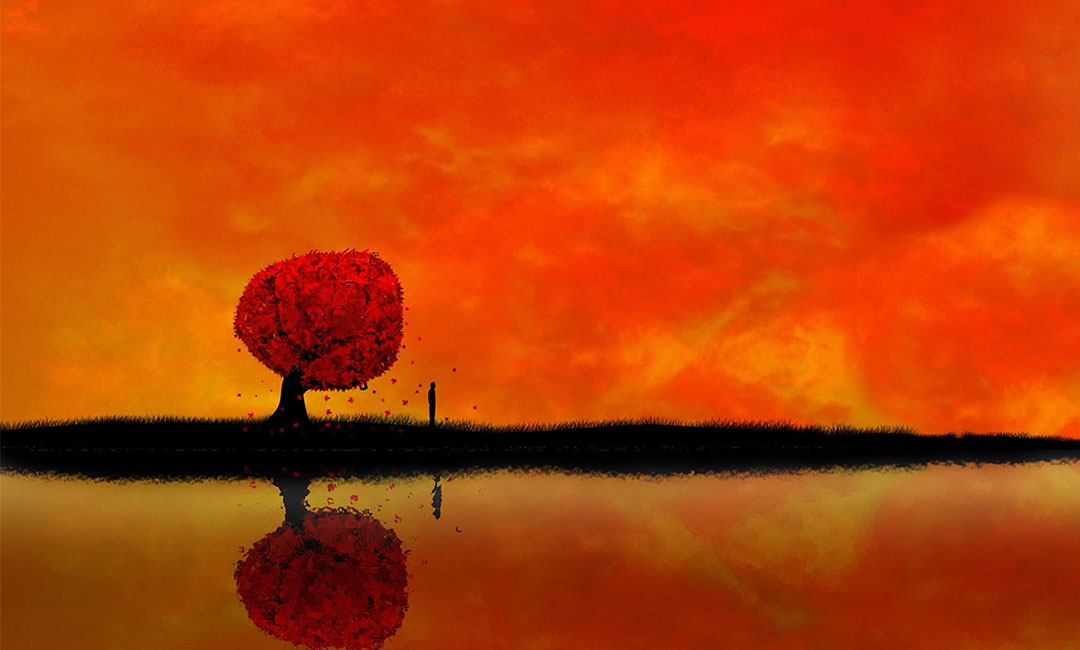 酉阳笙影微信朋友圈转发案例